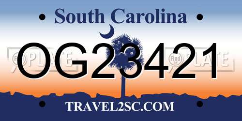 OG23421 South Carolina License Plate