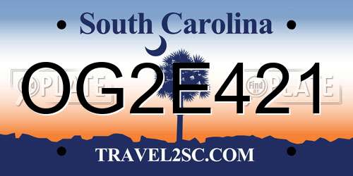 OG2E421 South Carolina License Plate