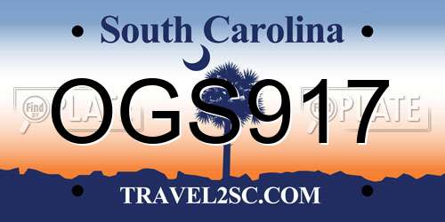 OGS917 South Carolina License Plate