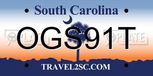 OGS91T South Carolina License Plate