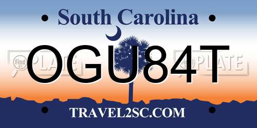 OGU84T South Carolina License Plate