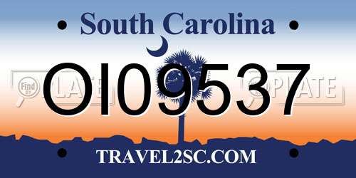 OI09537 South Carolina License Plate