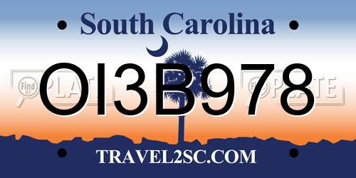 OI3B978 South Carolina License Plate