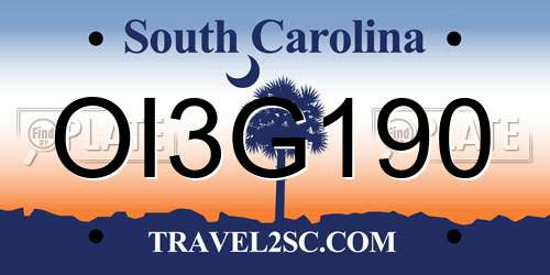 OI3G190 South Carolina License Plate