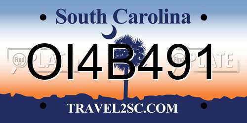 OI4B491 South Carolina License Plate