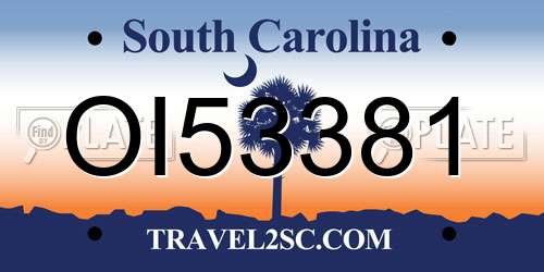 OI53381 South Carolina License Plate