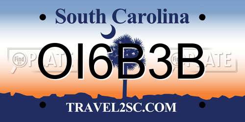 OI6B3B South Carolina License Plate