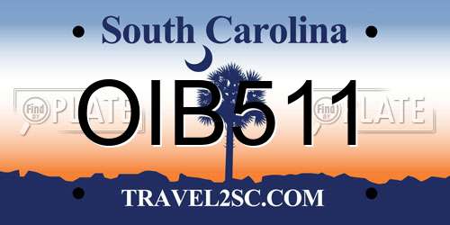 OIB511 South Carolina License Plate