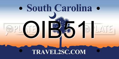 OIB51I South Carolina License Plate