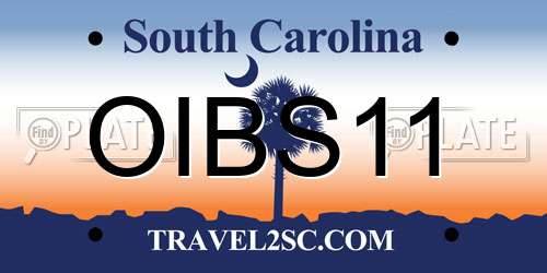 OIBS11 South Carolina License Plate