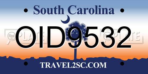 OID9532 South Carolina License Plate