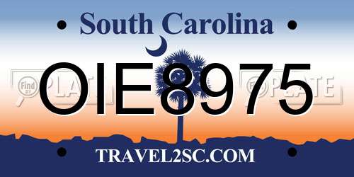 OIE8975 South Carolina License Plate