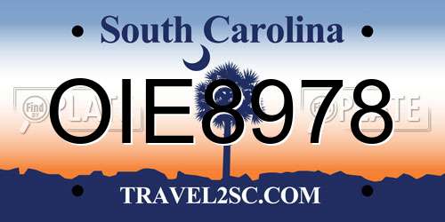 OIE8978 South Carolina License Plate