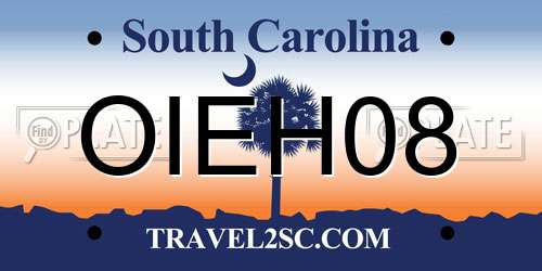 OIEH08 South Carolina License Plate