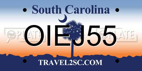 OIEJ55 South Carolina License Plate
