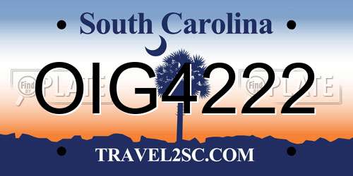 OIG4222 South Carolina License Plate
