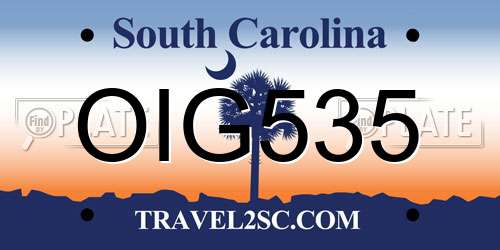 OIG535 South Carolina License Plate
