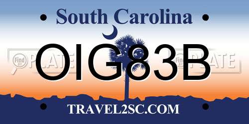 OIG83B South Carolina License Plate