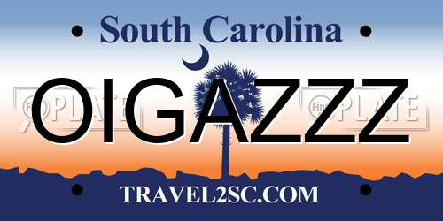 OIGAZZZ South Carolina License Plate