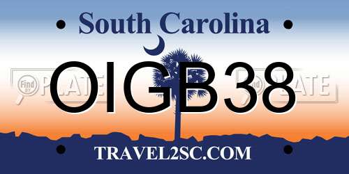OIGB38 South Carolina License Plate