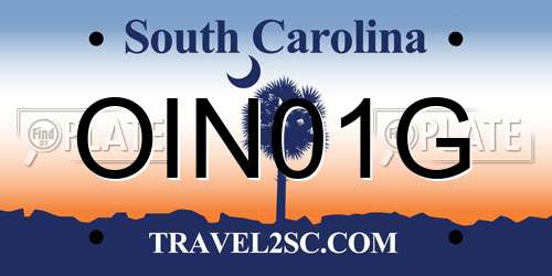 OIN01G South Carolina License Plate