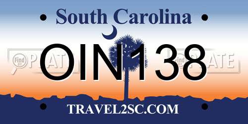 OIN138 South Carolina License Plate