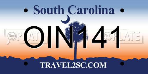 OIN141 South Carolina License Plate