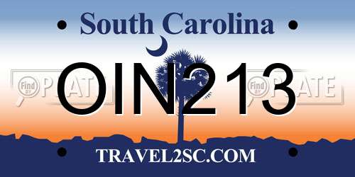 OIN213 South Carolina License Plate