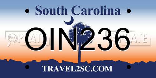 OIN236 South Carolina License Plate