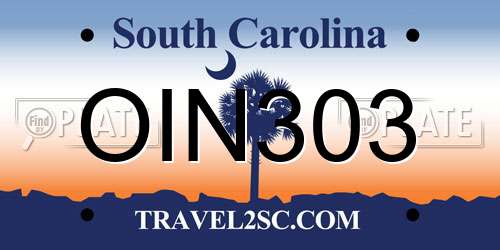 OIN303 South Carolina License Plate