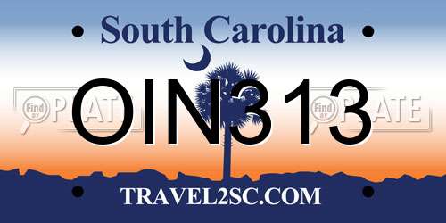 OIN313 South Carolina License Plate