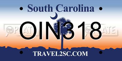 OIN318 South Carolina License Plate