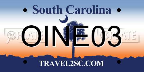 OINE03 South Carolina License Plate