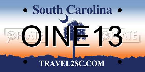 OINE13 South Carolina License Plate