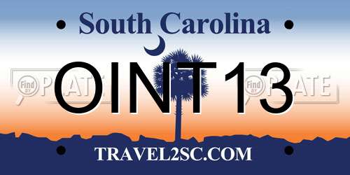 OINT13 South Carolina License Plate
