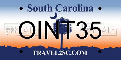 OINT35 South Carolina License Plate