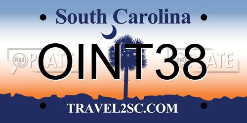 OINT38 South Carolina License Plate