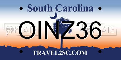 OINZ36 South Carolina License Plate