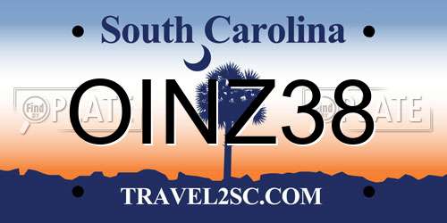 OINZ38 South Carolina License Plate