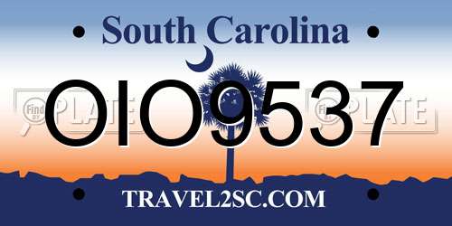 OIO9537 South Carolina License Plate