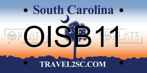 OISB11 South Carolina License Plate