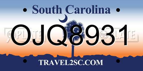 OJQ8931 South Carolina License Plate