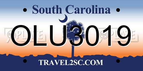 OLU3019 South Carolina License Plate