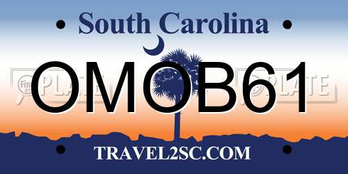 OMOB61 South Carolina License Plate
