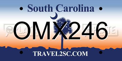 OMX246 South Carolina License Plate