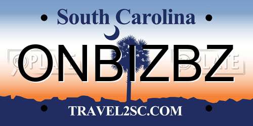 ONBIZBZ South Carolina License Plate