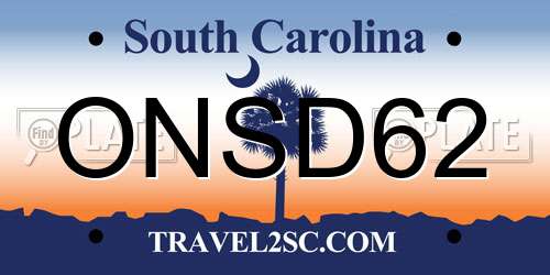 ONSD62 South Carolina License Plate