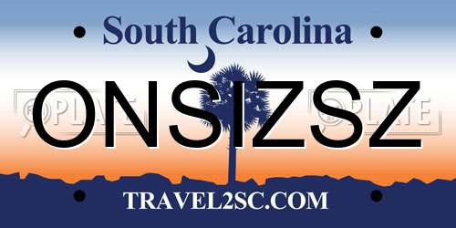 ONSIZSZ South Carolina License Plate