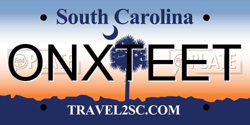 ONXTEET South Carolina License Plate