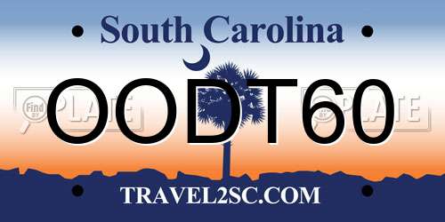 OODT60 South Carolina License Plate
